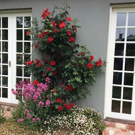 Bed and Breakfast Hollyoak Trentham Exterior foto